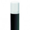 Pommeau Cassis