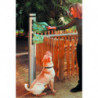 Borne hygiène canine Aucuba aménagement extérieur
