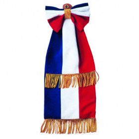 Cravate tricolore