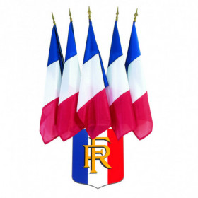 Lot écusson + drapeaux France