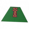 Marelle 13,75 m² contour vert