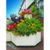 Pot de fleur béton Tan aménagement extérieur