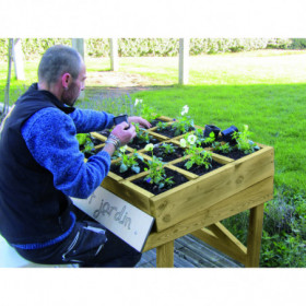 Carré potager en bois Petit...