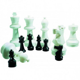 Ensemble de pions d'échecs