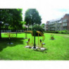 Cheval : long. 190 x larg. 70 x haut. 218 cm.