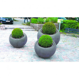 3 jardinières de...