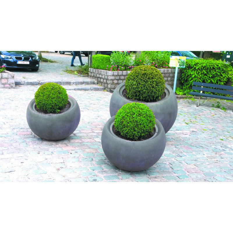Jardinière de collectivité en promotion - Sémio Jardinière de collectivité en promotion - Sémio