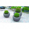 Jardinière de collectivité en promotion - Sémio