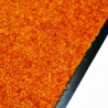Tapis d'entrée Wash & Clean