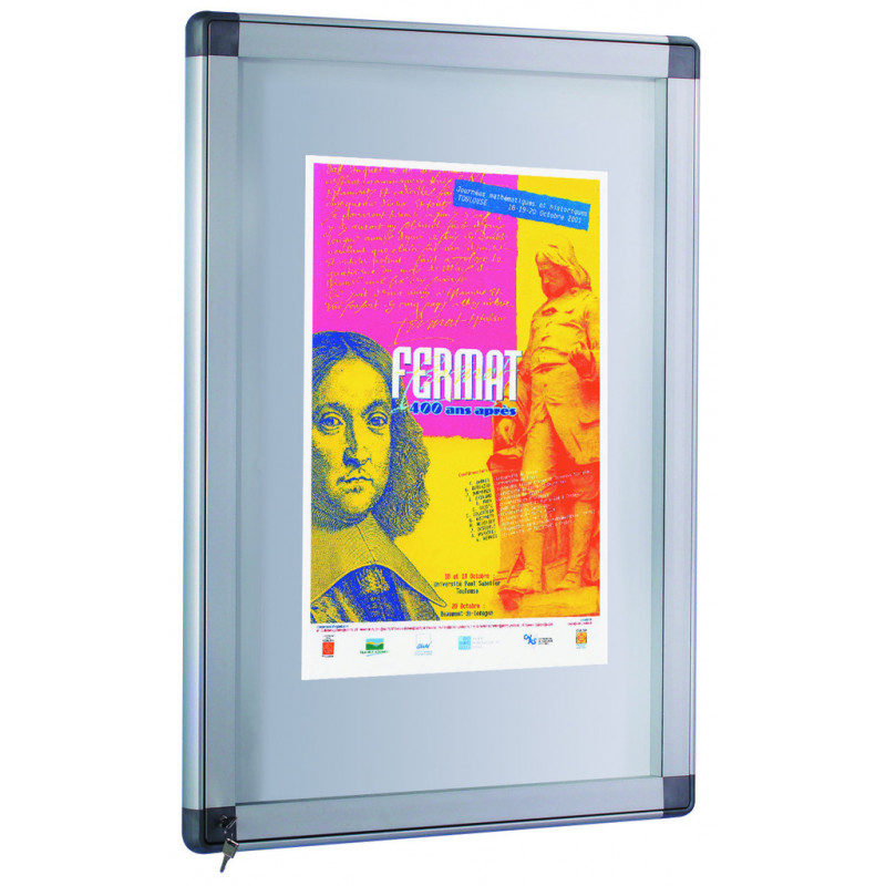 vitrine affichage professionnellel