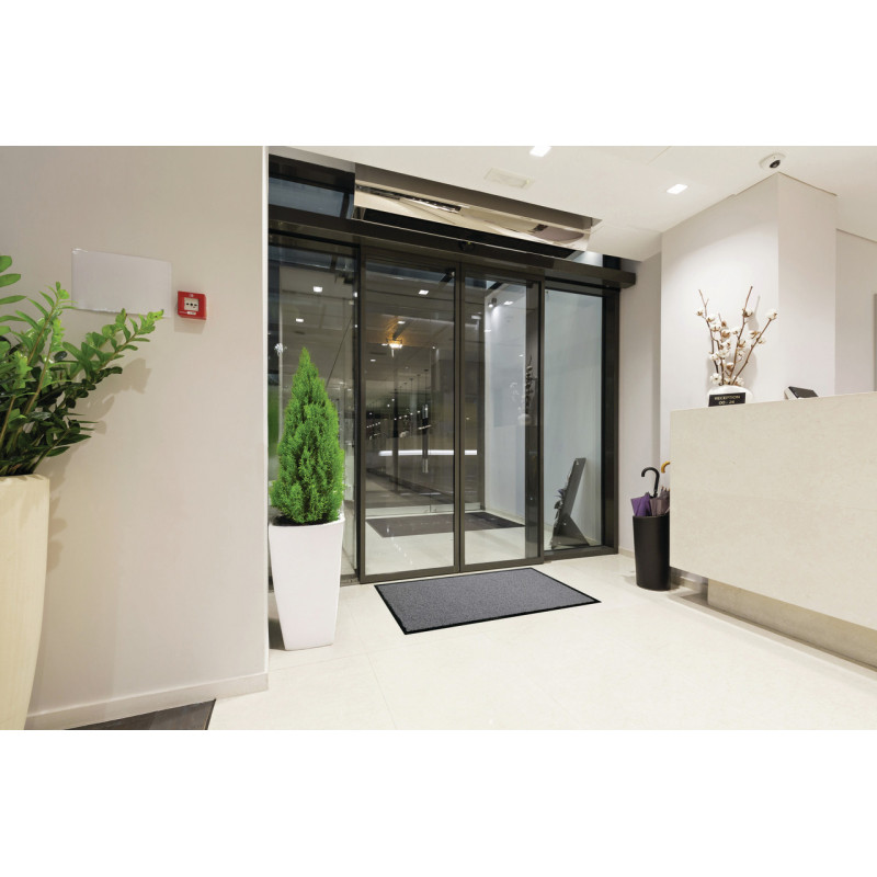 tapis d'entrée professionnel